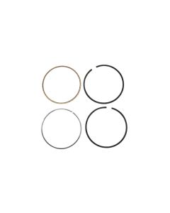 Briggs & Stratton 792073 Engine Ring Set .020