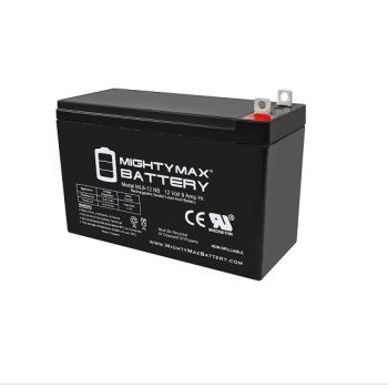 Generac Delco 0G9449 12V Sealed Battery