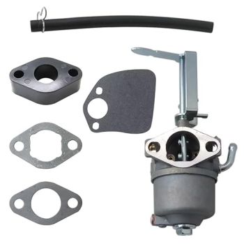 Toro 119-1977 Complete Carburetor Service Kit