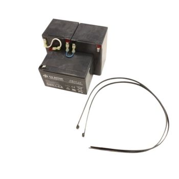 Toro 119-7060 Battery Assembly 36V