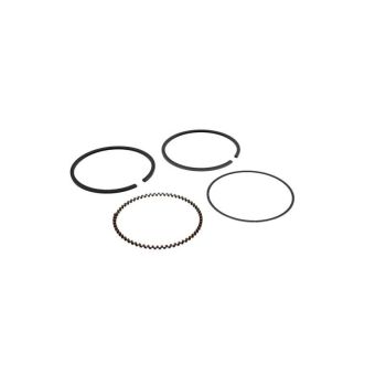 Honda 13010-Z1D-801 Lawn Mower Engine Piston Standard Ring Set Riken