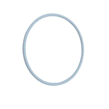 Titan 145-031 Paint Sprayer O-Ring