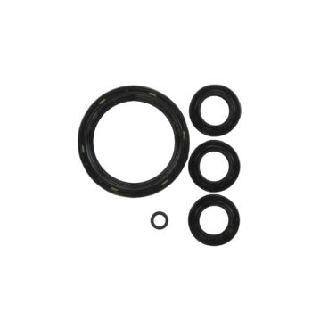 BRIGGS & STRATTON 194425GS Pressure Washer Seal Oil Kit