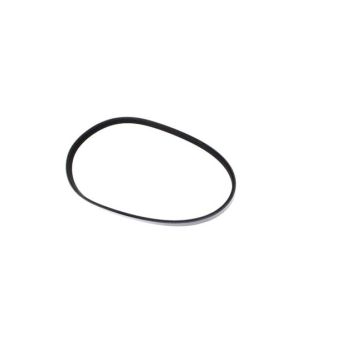 Honda Marine 31638-ZW5-004 Engine Alternator Belt