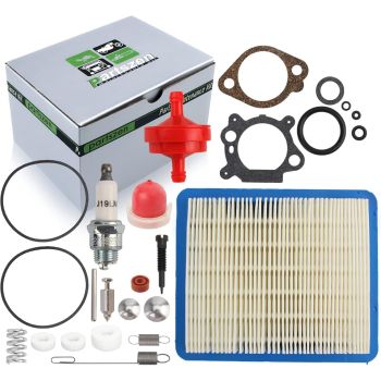 BRIGGS STRATTON 498260 Pressure Washer Carburetor Overhaul Kit