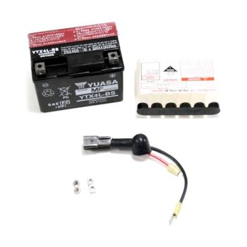 Simplicity 7067012YP Lawn Mower Battery Kit