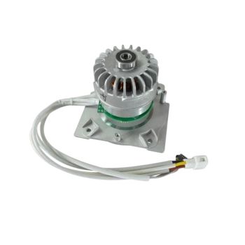 Greenworks R0200868-00 Lawn Mower Motor