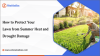How to Protect Your Lawn from Summer Heat and Drought Damage