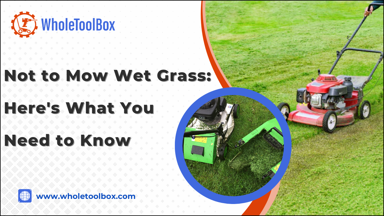 Not to Mow Wet Grass: Here's What You Need to Know