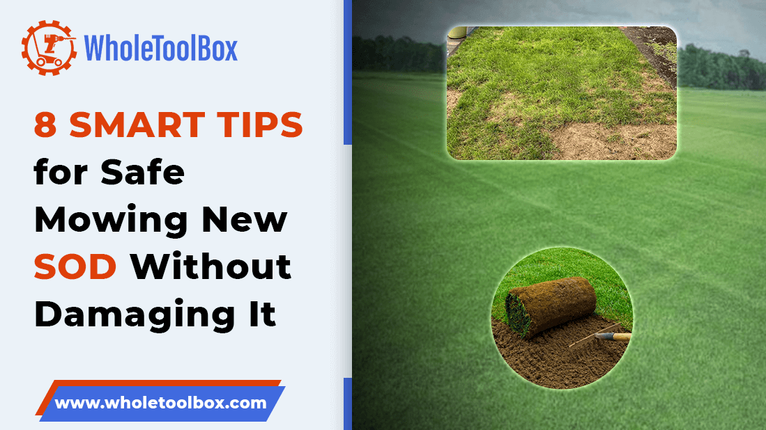 8 Smart Tips for Safe Mowing New Sod Without Damaging It