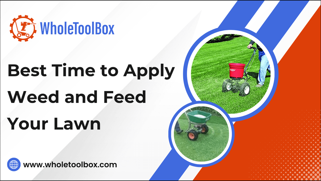 Best Time to Apply Weed and Feed Your Lawn