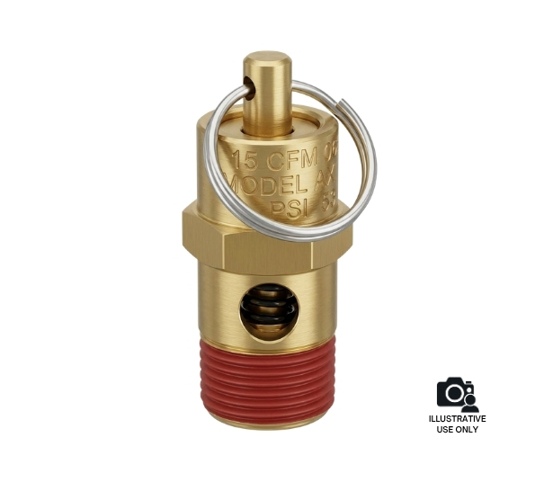 Graco 118576 Safety Valve 165 PSI