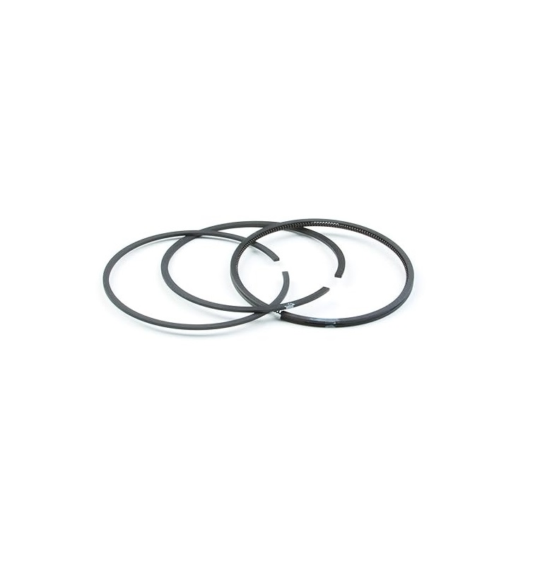 Briggs & Stratton 699658 Engine Standard Ring Set