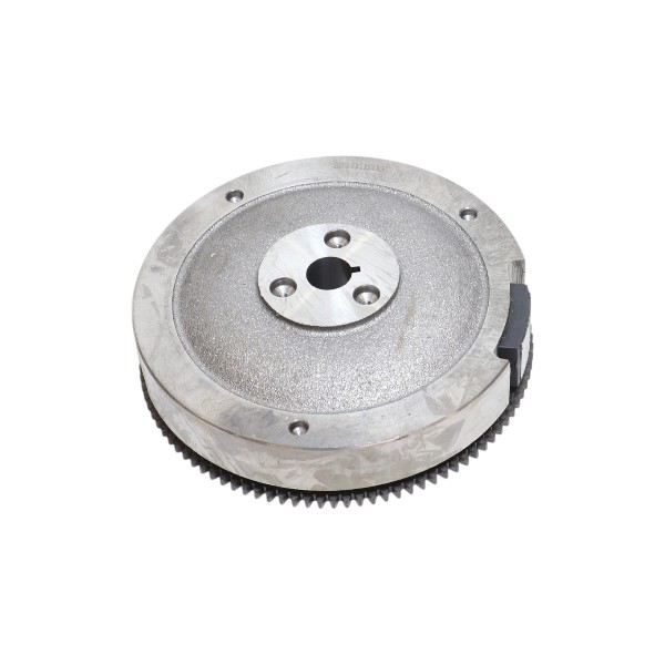 Homelite D260407 Flywheel Assembly
