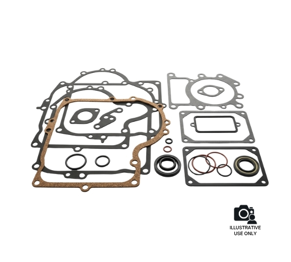 Briggs & Stratton 690189 Engine Gasket Set