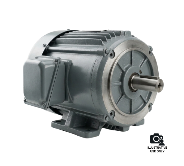 DELTA 1348109 Shaper Motor 3-Phase