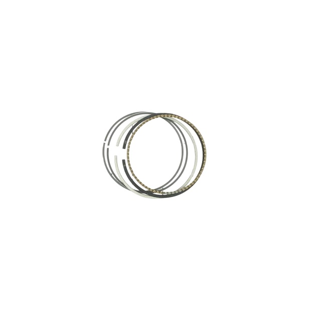 BRIGGS & STRATTON 590742 Engine Ring Set 010