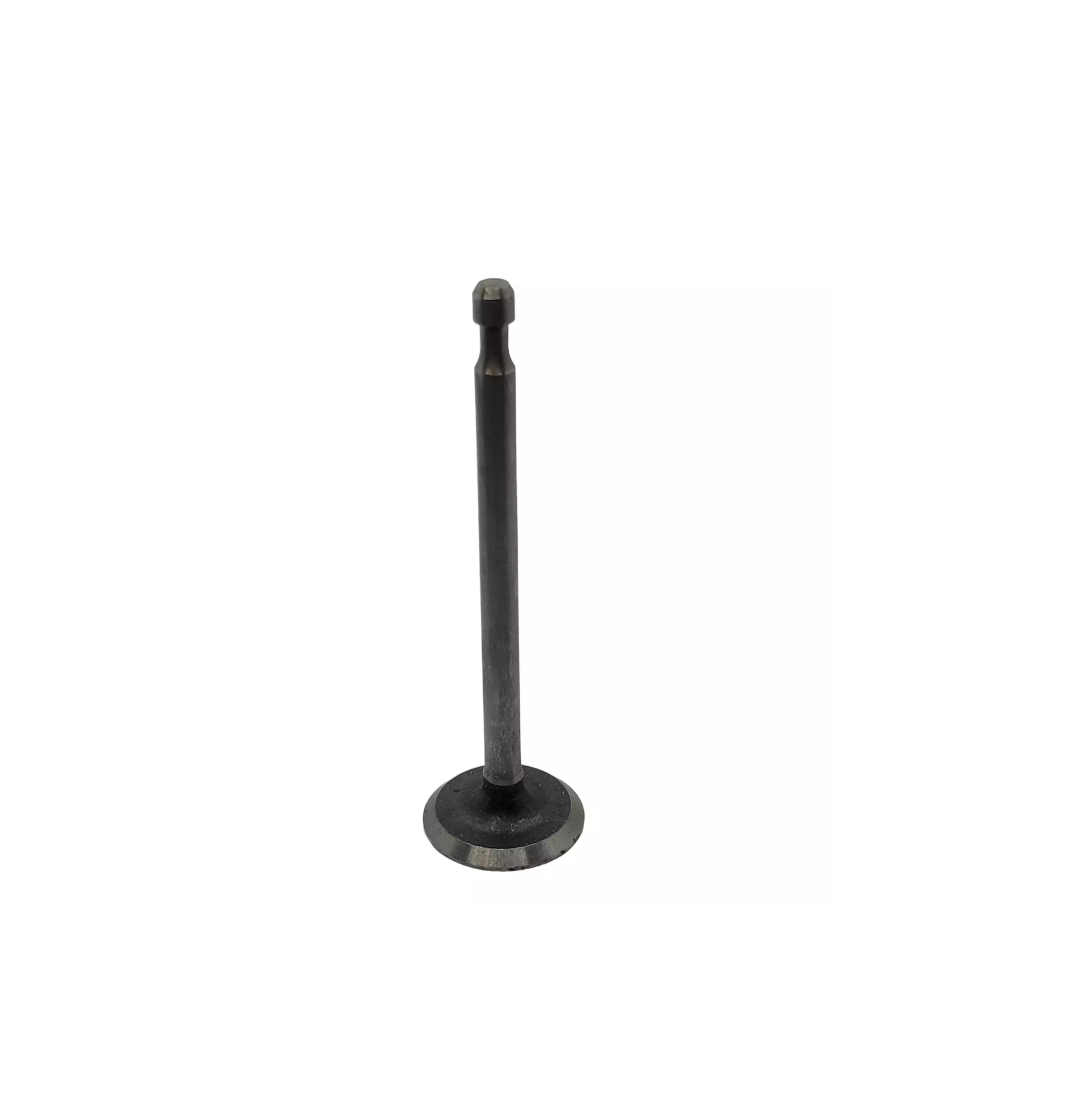 BRIGGS & STRATTON 260961 Engine IntakeValve