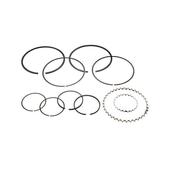 Campbell Hausfeld TF006900AJ Compressor Ring Kit