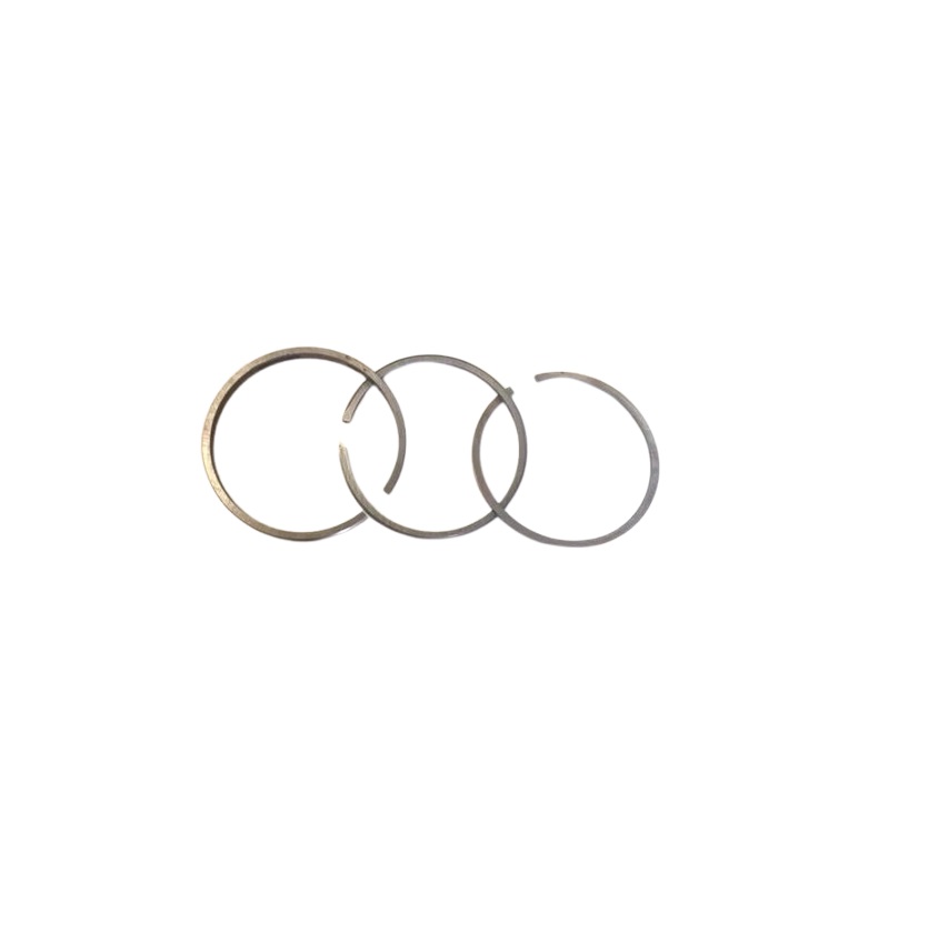 Briggs & Stratton 298176 Engine Ring Set 0.020"