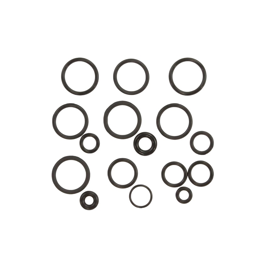 Briggs & Stratton 200346GS Pressure Washer O-Rings Kit