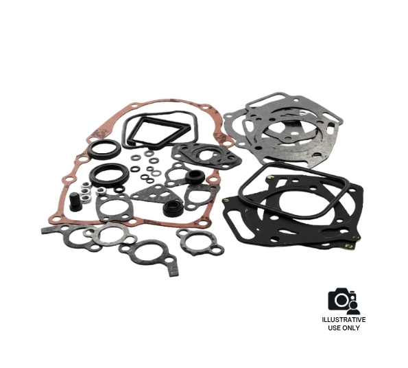 BRIGGS & STRATTON 84007011 Engine Gasket Set