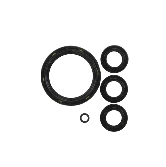 BRIGGS & STRATTON 194425GS Pressure Washer Seal Oil Kit
