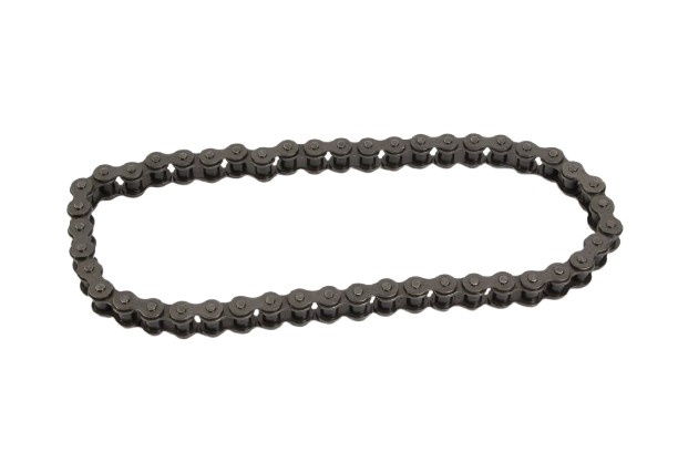 Weed Eater 532428069 Lawn Tractor Chain Drive