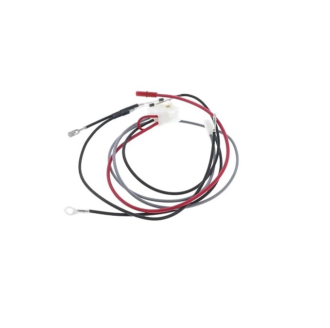 BRIGGS & STRATTON 591392 Engine Wiring Harness