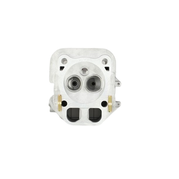 Kohler 2431866-S Engine Cylinder Head Kit