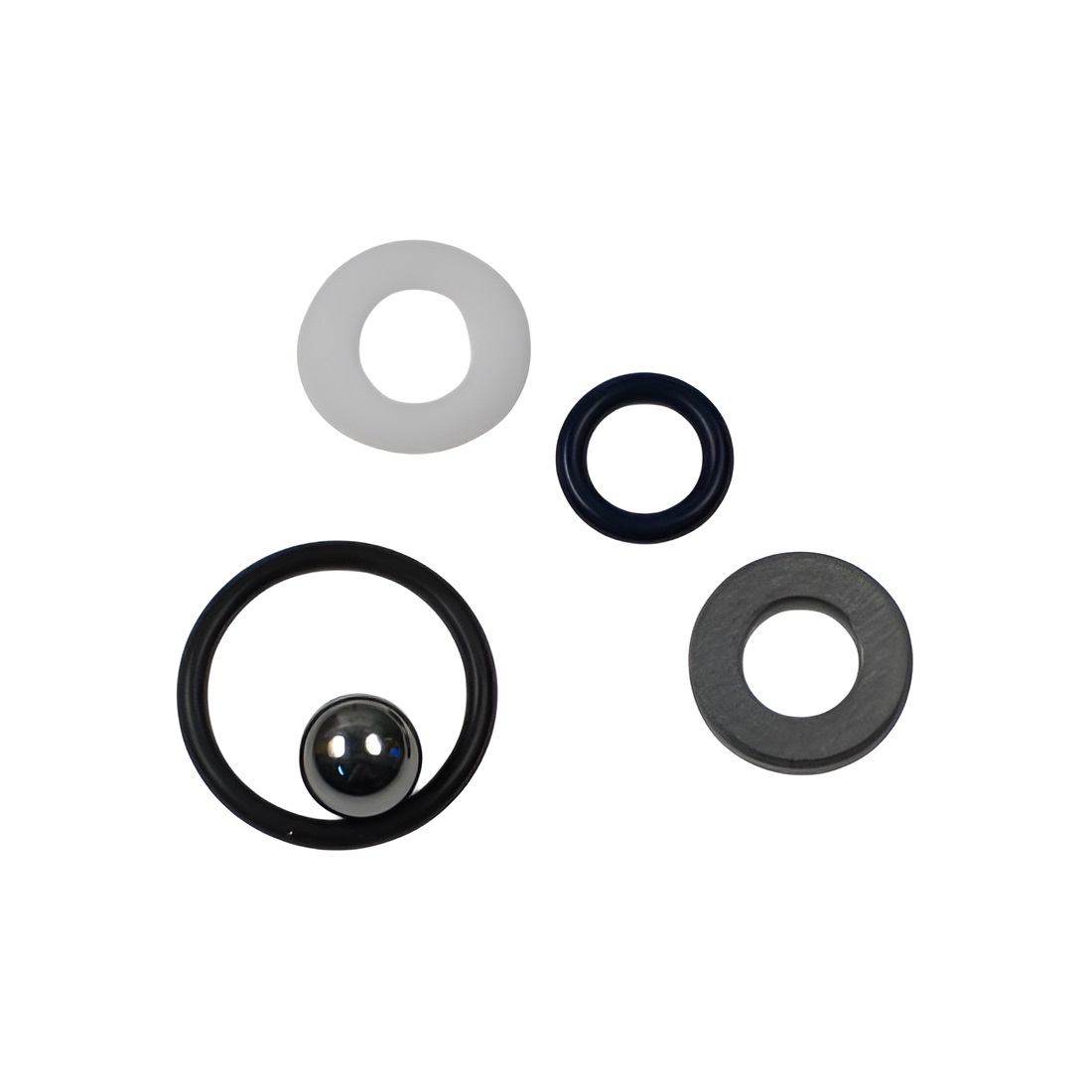 Spraytech 0294966 Paint Sprayer Repair Kit