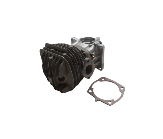 Echo P021006561 Crankcase Set