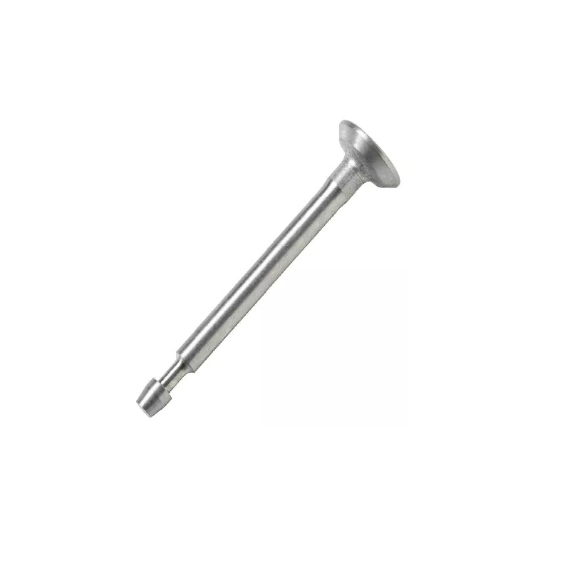 BRIGGS & STRATTON 691796 Engine Exhaust Valve