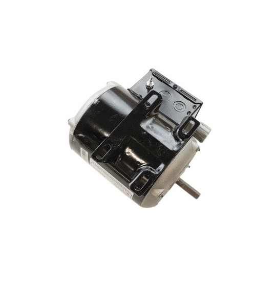 Ridgid 53333 Motor 120V 50Hz