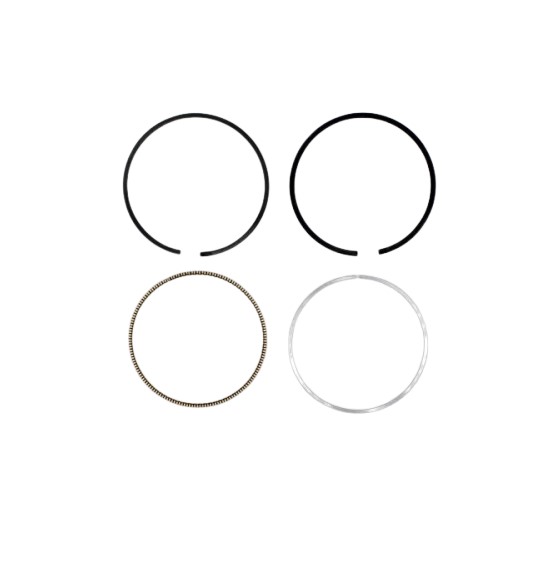 BRIGGS & STRATTON 795690 Engine Ring Set