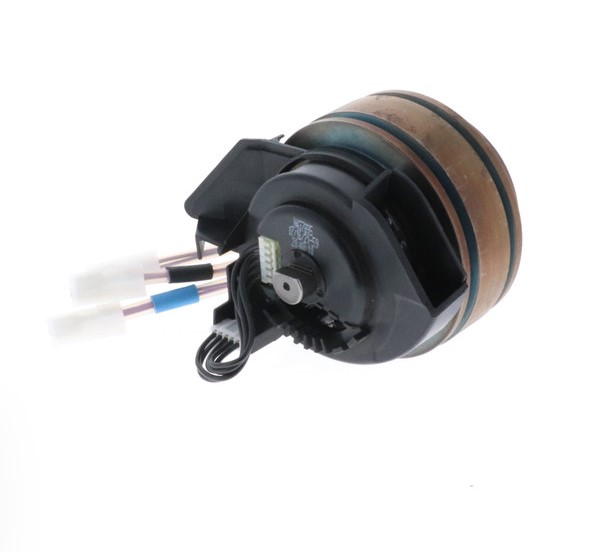 Dewalt N473974 Motor Assembly