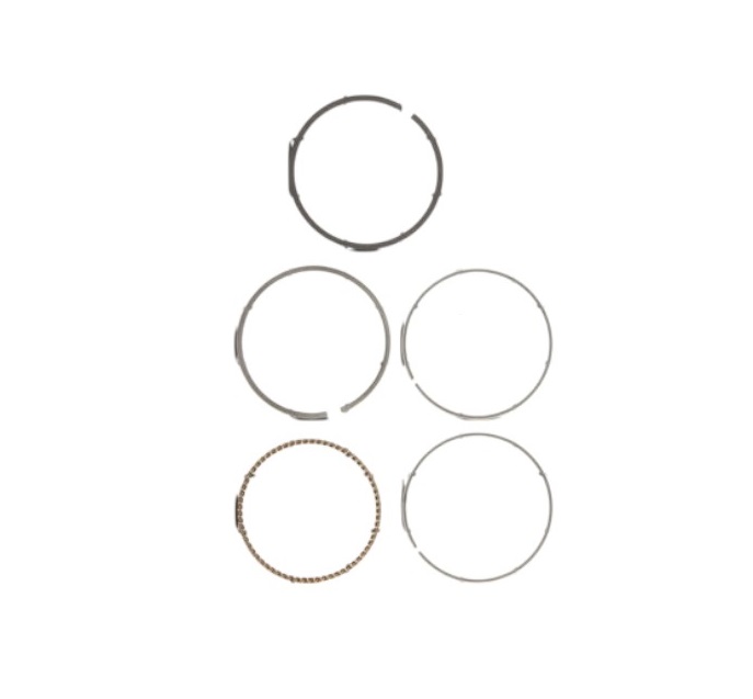 Briggs & Stratton 843953 Engine Ring Set