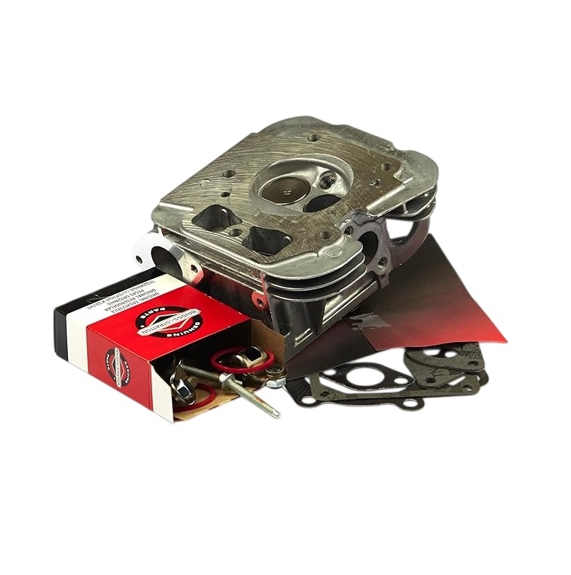 Briggs & Stratton 796231 Engine Head-Cylinder