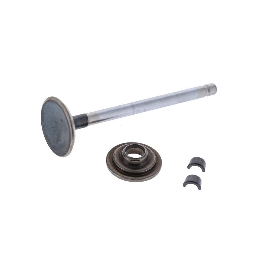 BRIGGS & STRATTON 697576 Engine Exhaust Valve