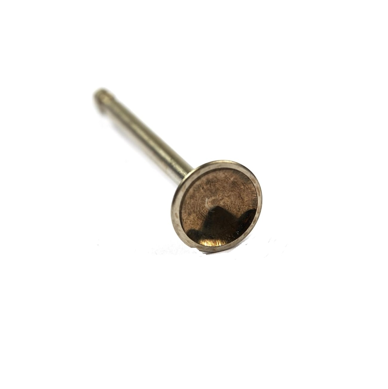 BRIGGS & STRATTON 590394 Engine Exhaust Valve