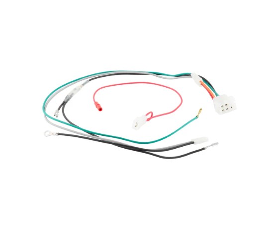 BRIGGS & STRATTON 698330 Engine Wiring Harness