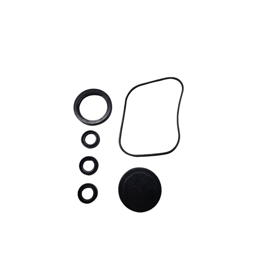 Briggs & Stratton 198846GS Pressure Washer Oil Seal Kit