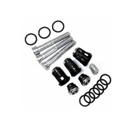 BRIGGS & STRATTON 190657GS Pressure Washer Check Valve Kit