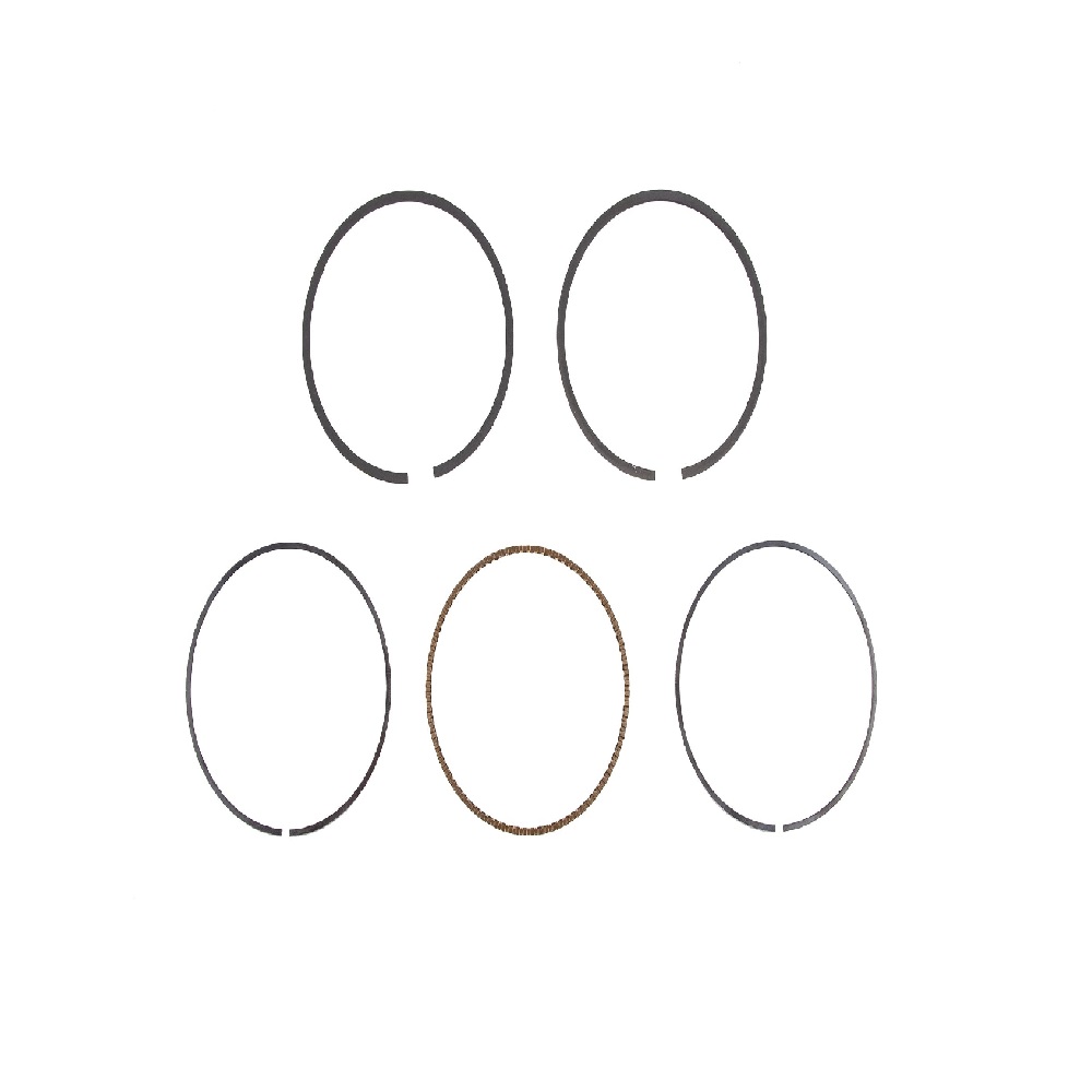 BRIGGS & STRATTON 791787 Engine Ring Set