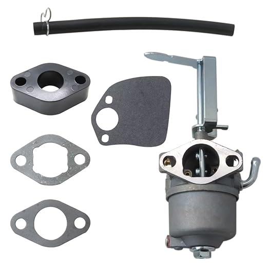 Toro 119-1977 Complete Carburetor Service Kit