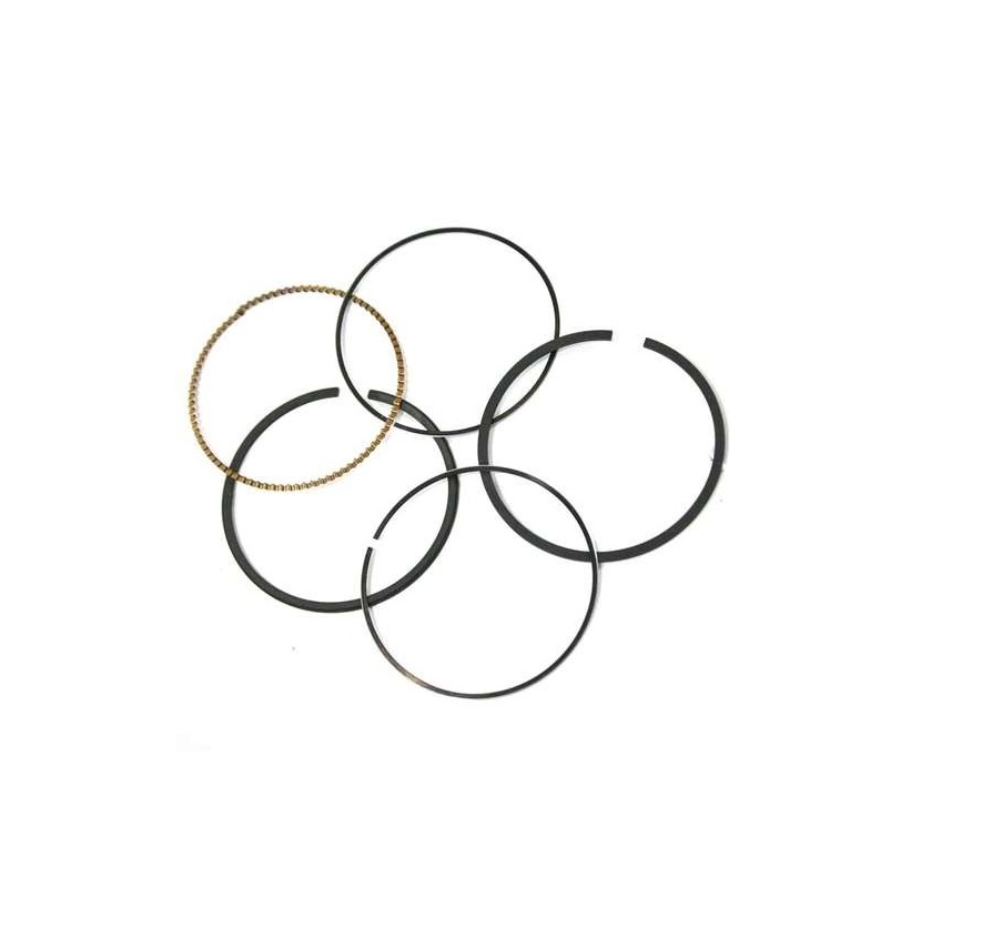 Briggs & Stratton 791324 Engine Ring Set .020