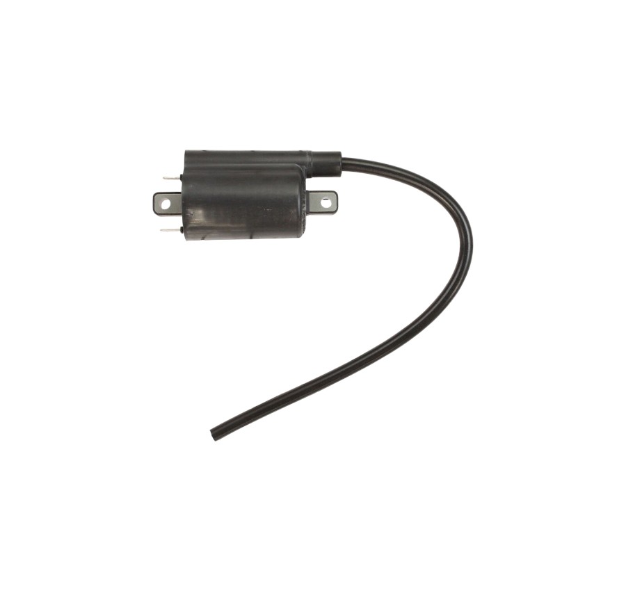 Briggs & Stratton 820037 Engine Ignition Coil