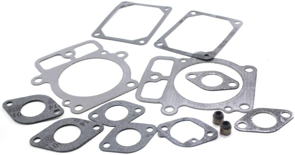 Briggs & Stratton 699822 Valve Gasket Set