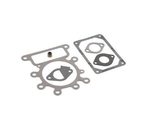 BRIGGS & STRATTON 796189 Engine Valve Gasket Set