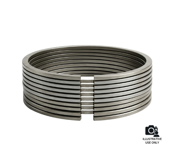 Cleco 65A219 Power Motor Piston Ring (10)